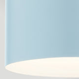 York 1 Light Pendant Light - Painted Natural Brass