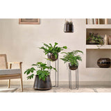 Endo Small Reclaimed Iron Plant Stand - Black