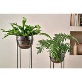 Endo Large Reclaimed Iron Plant Stand - Black