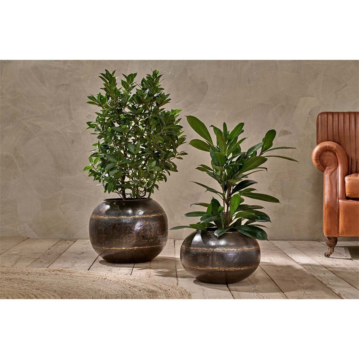 Endo Small Reclaimed Iron Globe Planter - Aged Black