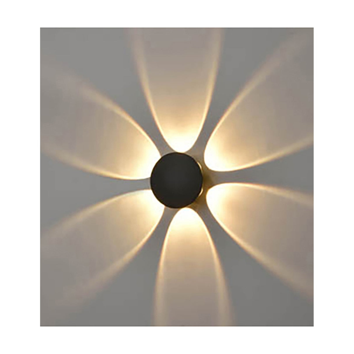 Aura 6 light exterior wall light in black finish