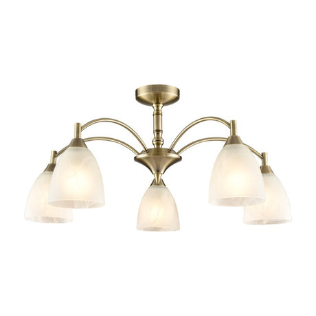 Emmy 5 light ceiling light in bronze finish