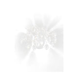 Wisteria 2 light wall light in chrome finish