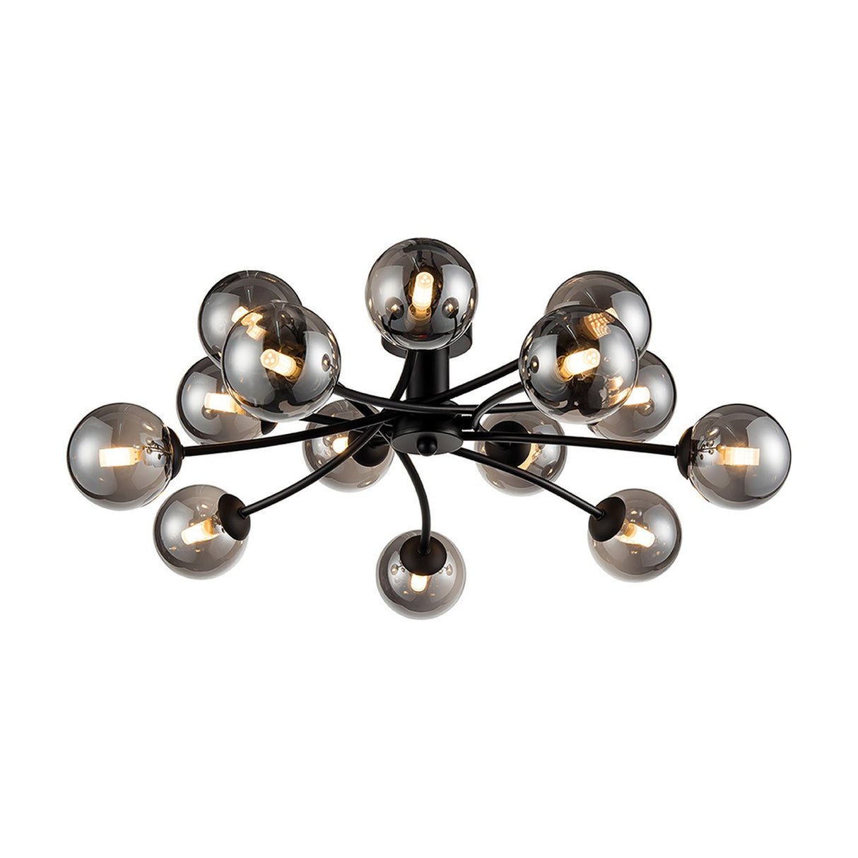 Prophecy 14 light ceiling light in black finish