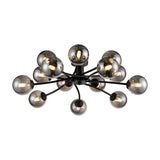 Prophecy 14 light ceiling light in black finish
