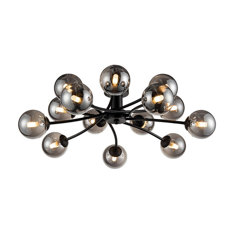 Prophecy 14 light ceiling light in black finish
