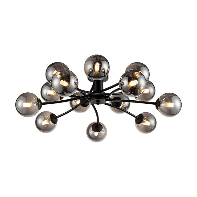 Prophecy 14 light ceiling light in black finish
