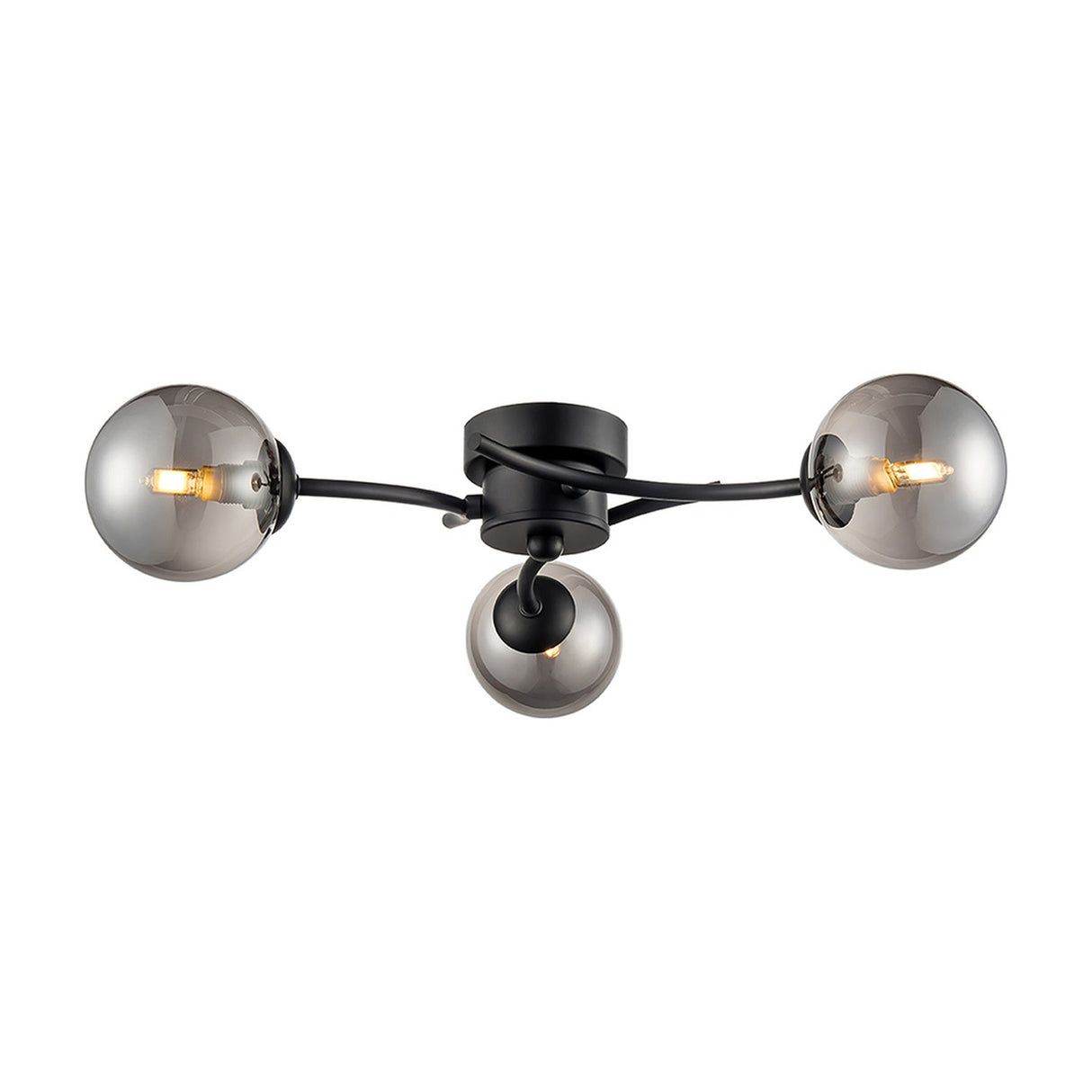 Prophecy 3 light ceiling light in black finish