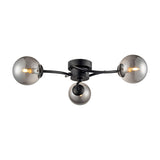 Prophecy 3 light ceiling light in black finish