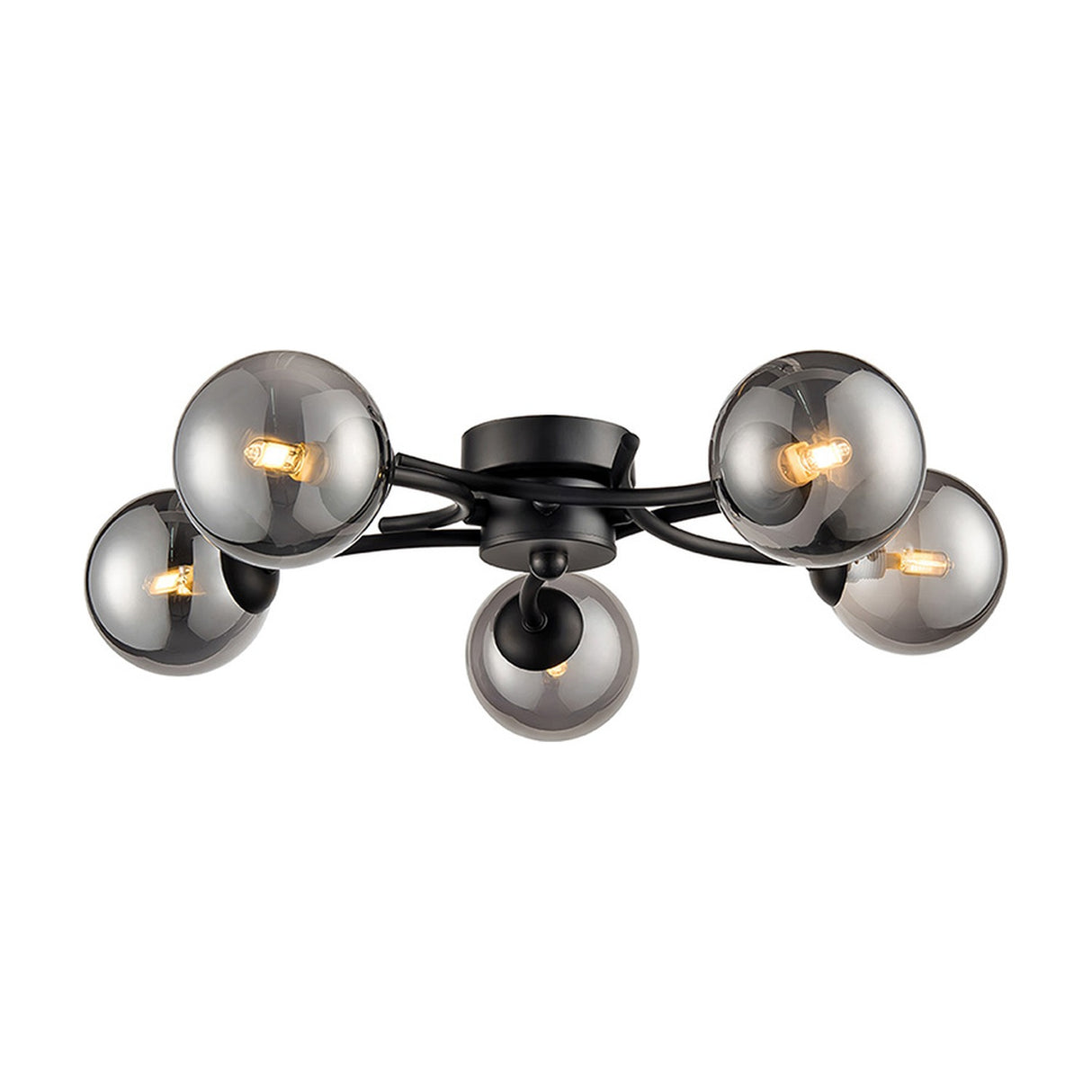 Prophecy 5 light ceiling light in black finish