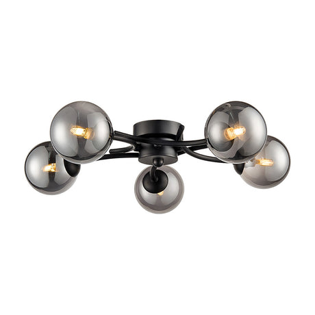 Prophecy 5 light ceiling light in black finish