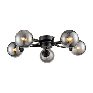 Black Ceiling Lights