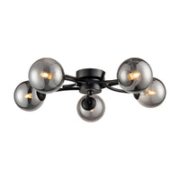 Black Ceiling Lights