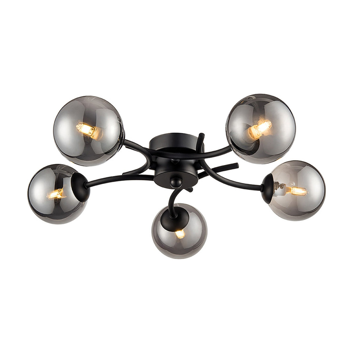Prophecy 5 light ceiling light in black finish, alternative view