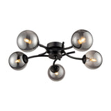 Prophecy 5 light ceiling light in black finish, alternative view