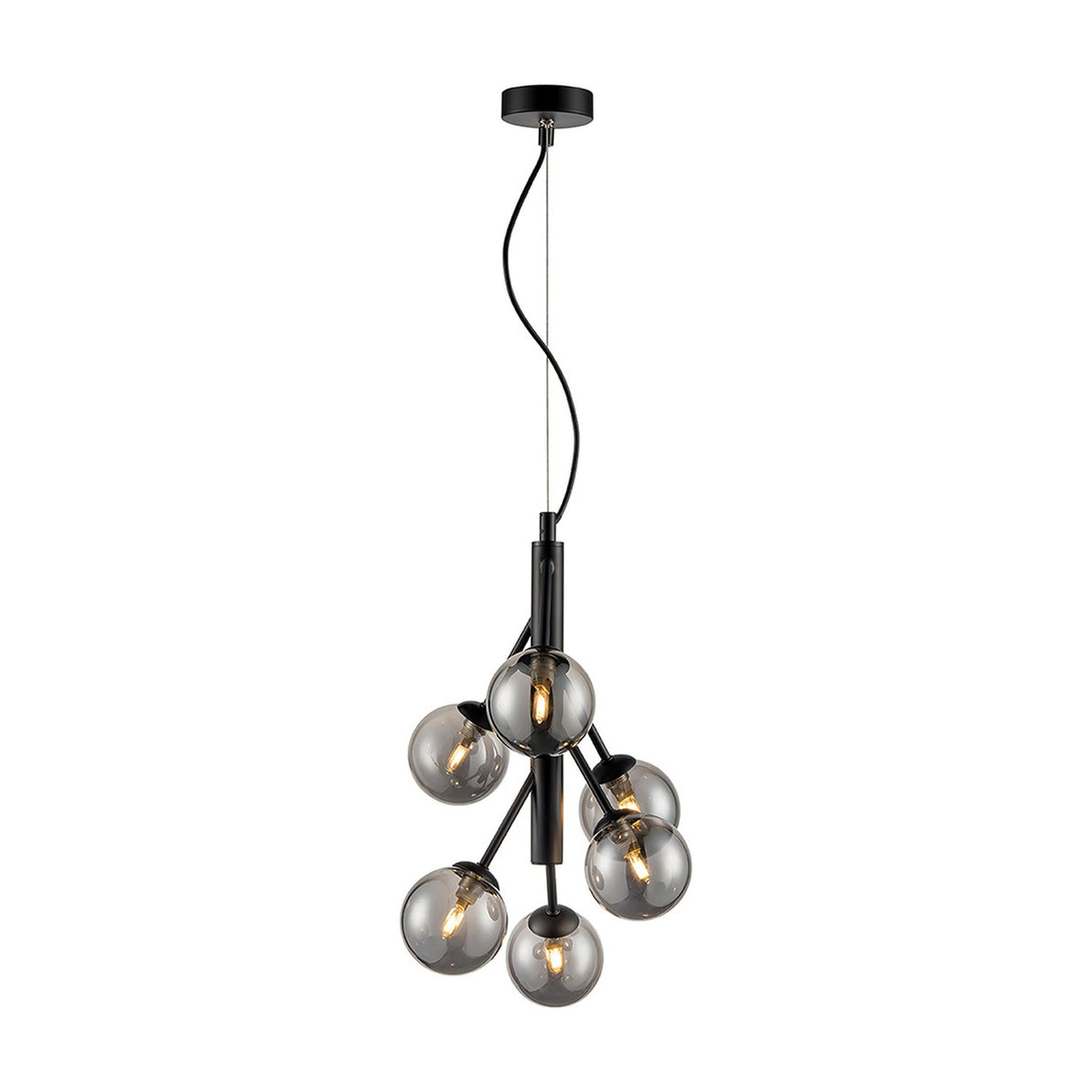 Prophecy 6 light pendant light in black finish