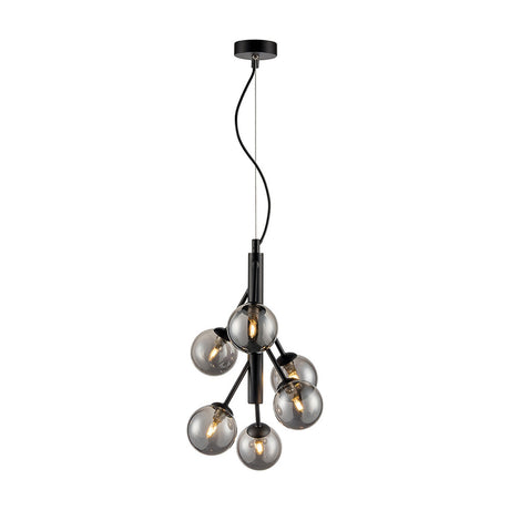 Prophecy 6 light pendant light in black finish