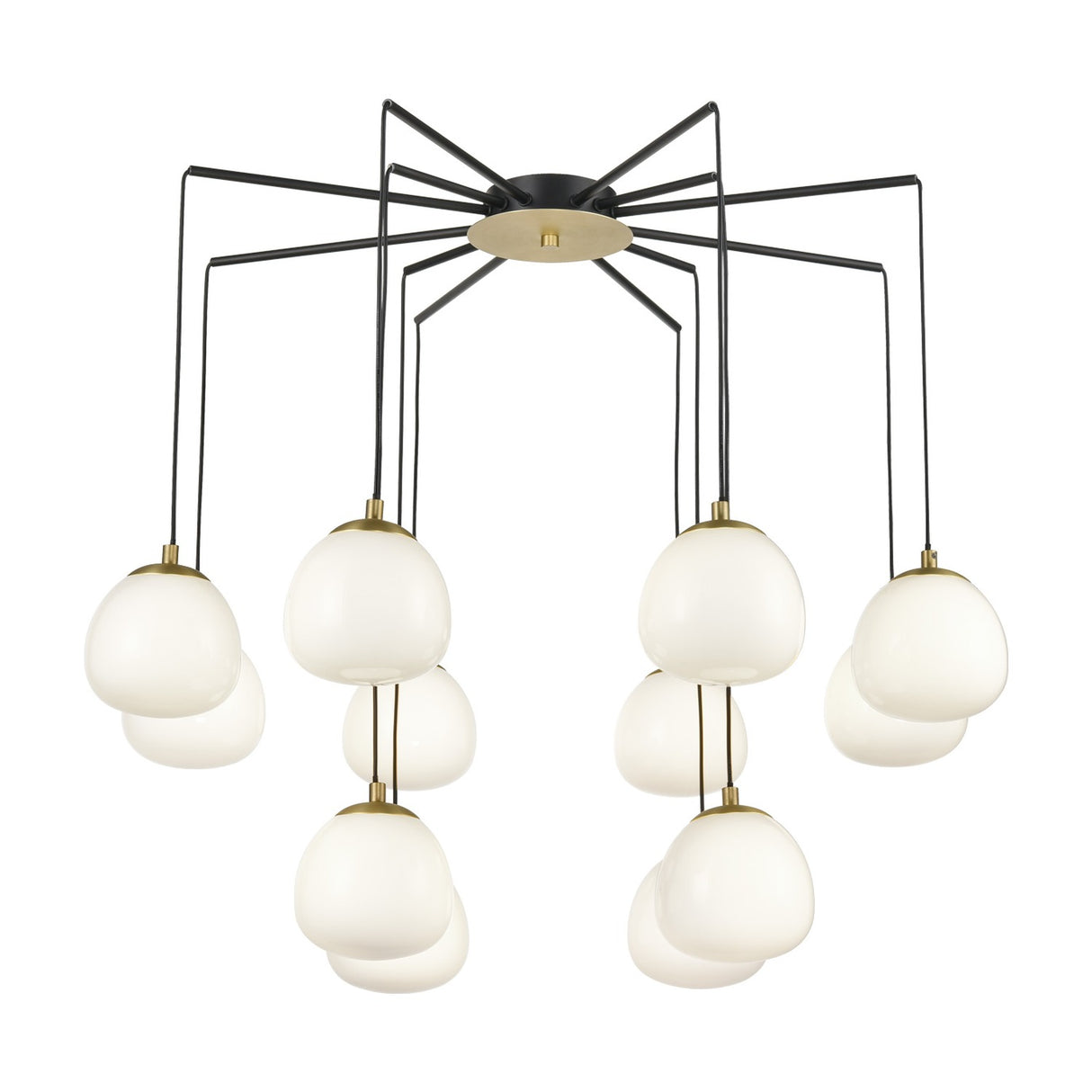 Vermeer 12 light chandelier in black and gold finish