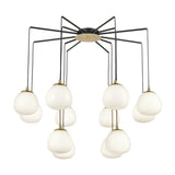 Vermeer 12 light chandelier in black and gold finish