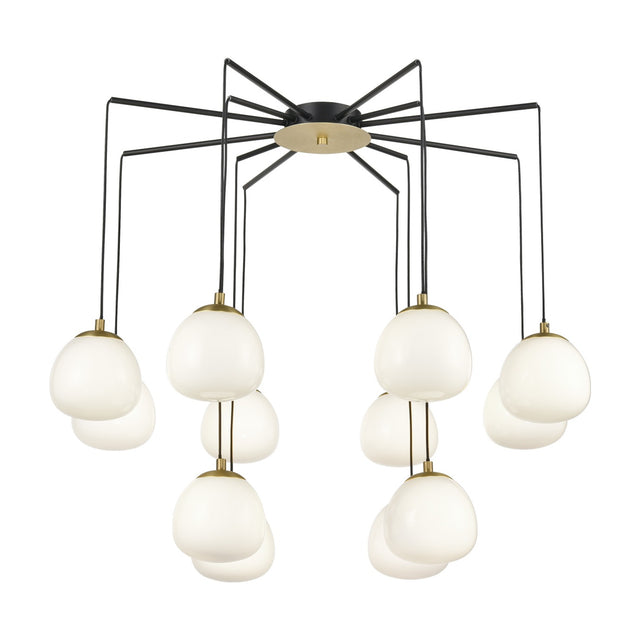 Vermeer 12 light chandelier in black and gold finish