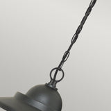 Sandown 1 Light Outdoor Chain Lantern - Black
