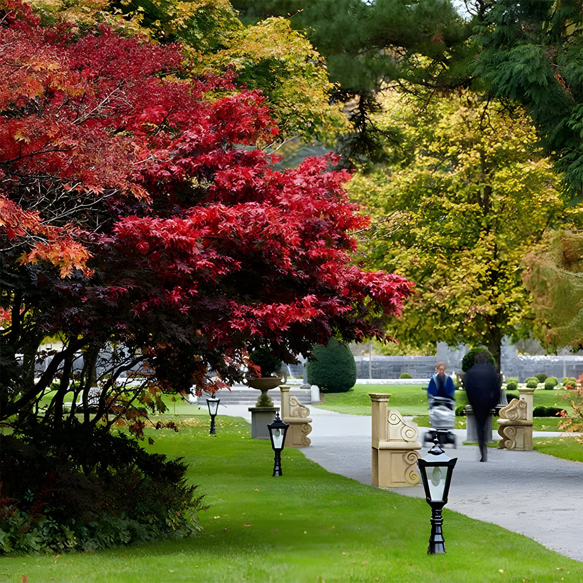 Large Victorian Cast Iron Pedestal Post Lights in black lining a garden path, with tapered lantern heads on ornate poles amid autumn trees.