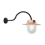Contemporary wall lantern on a black goose neck bracket with a copper shade and clear glass globe, shown on a plain white background.