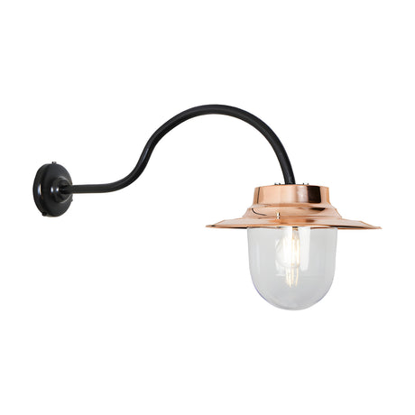 Contemporary wall lantern on a black goose neck bracket with a copper shade and clear glass globe, shown on a plain white background.