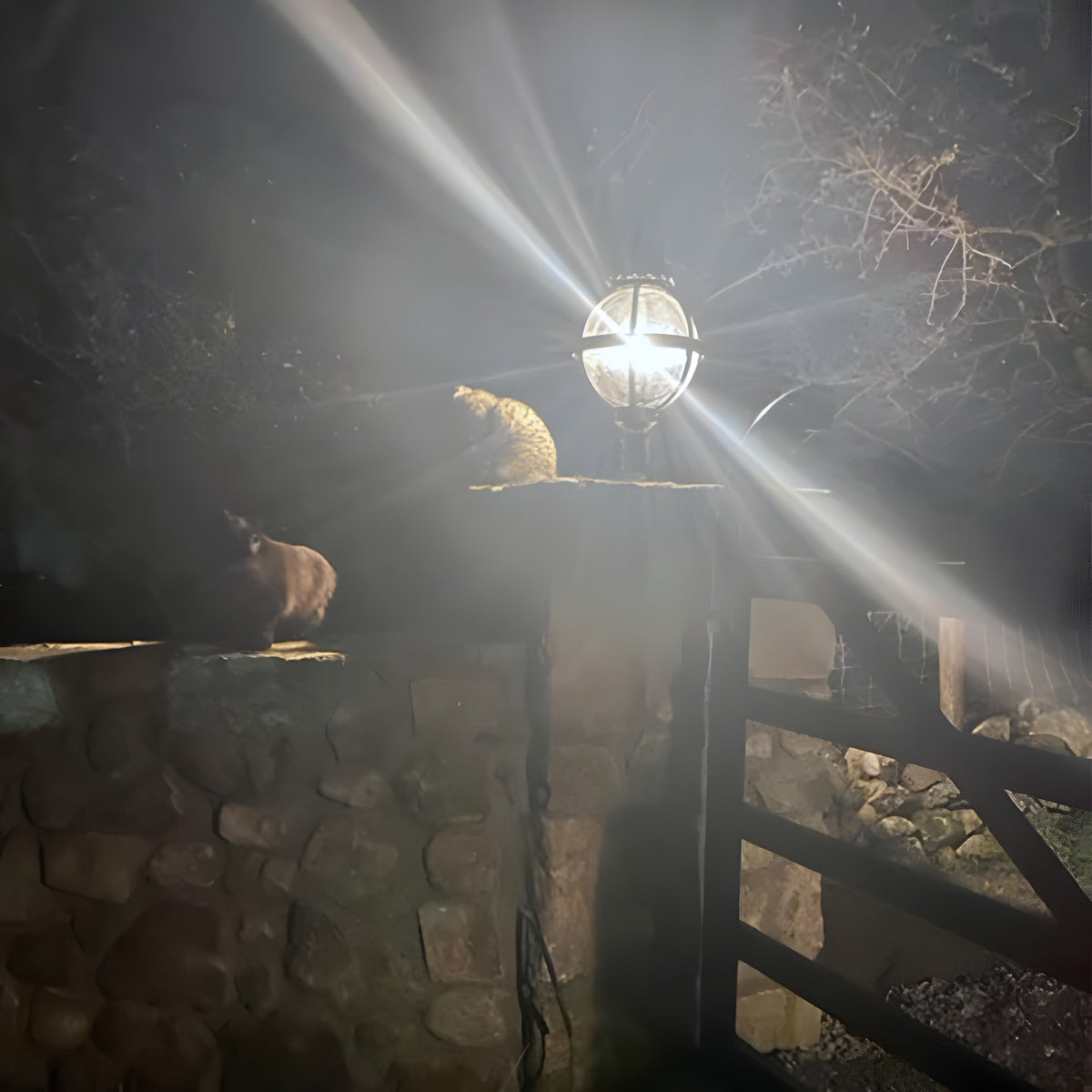 Medium Victorian Globe Pillar Light in black, cast iron cage design mounted on a flat pier at night, illuminated outdoors with a stone wall and gate in the garden setting.