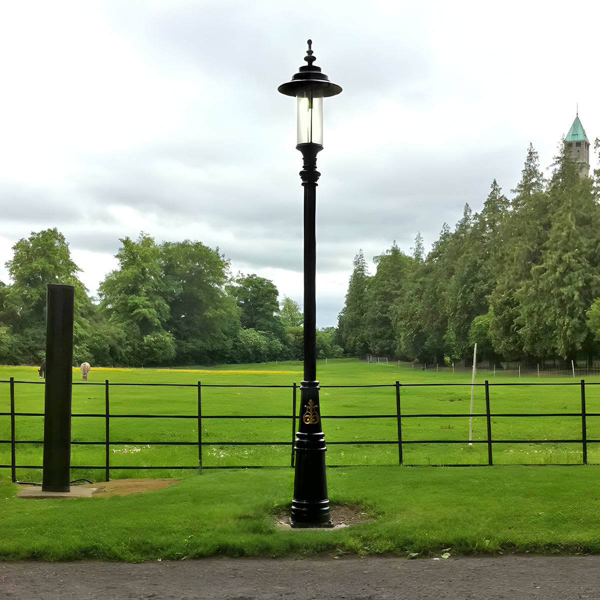 Georgian Cast Iron Lamp Post 3.5m in black, tall traditional post with lantern head and lit glass panel, standing on grass beside a park fence.