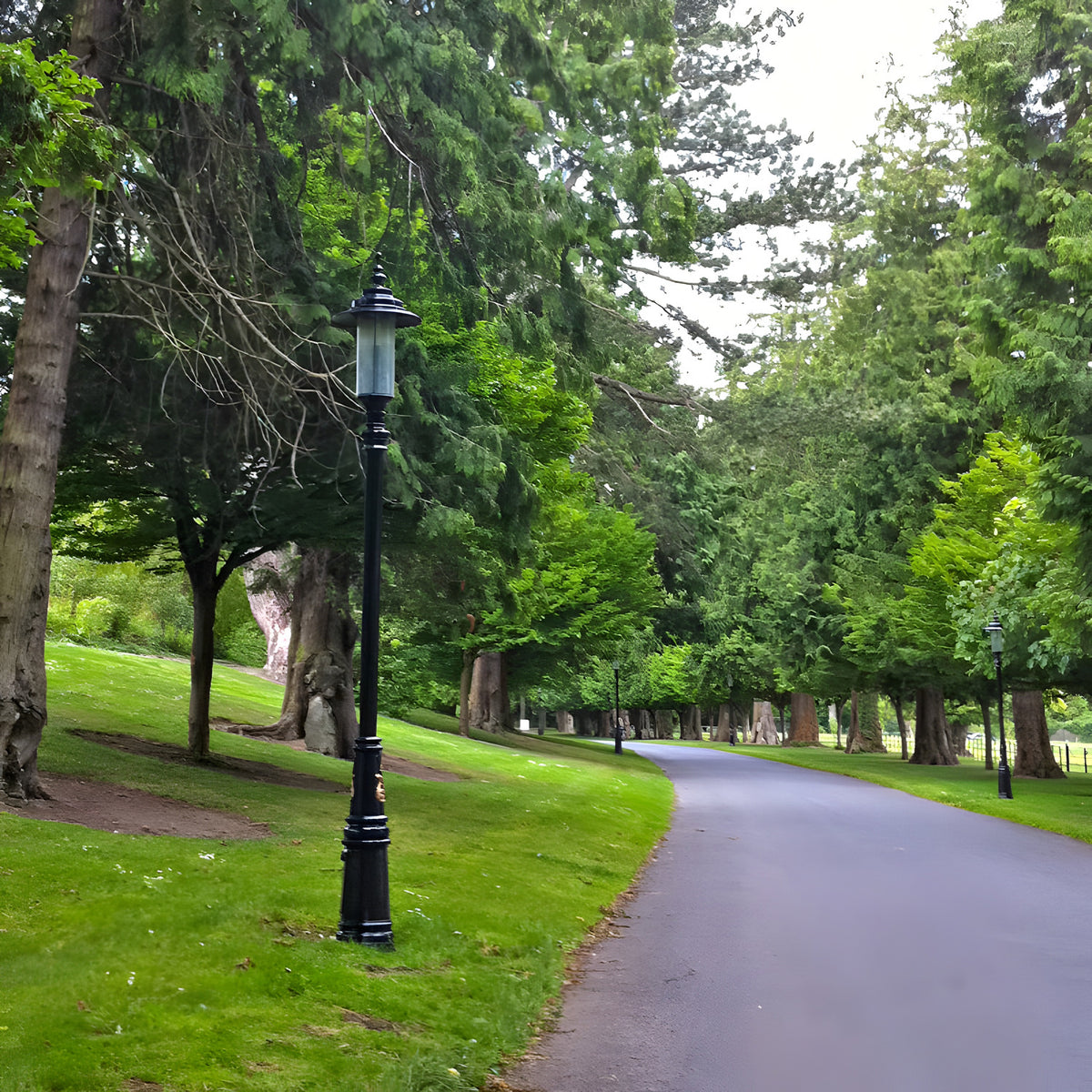 Georgian cast iron lamp post in black, 3.5m tall with a single lantern head, shown installed on a grass verge beside a paved park pathway.