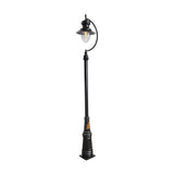 Tall black cast iron lamp post with a curved gooseneck arm holding a spun teardrop shade over a clear glass dome, on a plain white background.