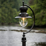 Vintage Cast Iron Lamp Post 3.7m in black, gooseneck curve with teardrop shade over clear glass dome, lit bulb, set outdoors against a blurred woodland and river backdrop.