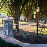 Vintage cast iron lamp post with curved neck and copper teardrop shade over a clear glass dome, lit outdoors beside a garden path and tree-lined driveway.