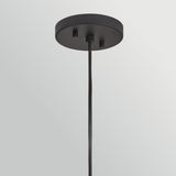 Arlen 1 Light X-Large Outdoor Pendant Light - Black & Rattan