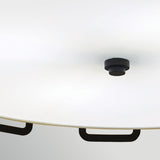 Sabina 4 Light Pendant Light - Black