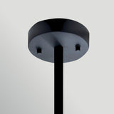 Sabina 4 Light Pendant Light - Black