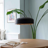 2440 in-situ 6