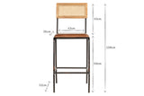 Iswa Leather & Cane Counter Stool - Tan