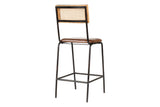 Iswa Leather & Cane Counter Stool - Tan