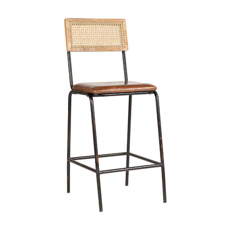 Iswa Leather & Cane Counter Stool - Tan