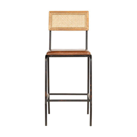 Iswa Leather & Cane Counter Stool - Tan