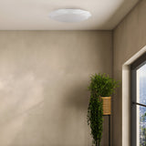 A minimalistic room boasts the Crystallize LED Flush Ceiling Light - White with dimmable settings. A vibrant green plant in a striped pot by a large window partially reveals the cityscape, contrasting with the rooms neutral walls.