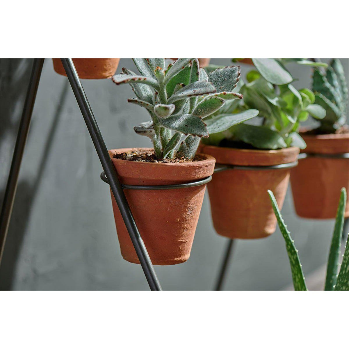 Jara 9 Pot Plant Stand - Terracotta & Iron