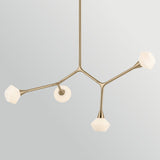 Cassius 4 Light Pendant Light - Champagne Bronze