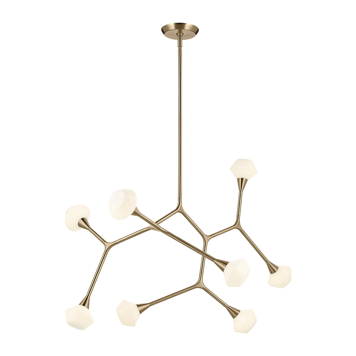 Cassius 8 Light Pendant Light - Champagne Bronze