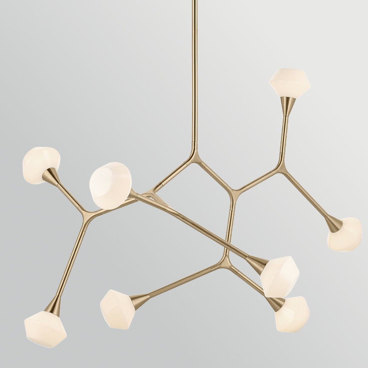 Cassius 8 Light Pendant Light - Champagne Bronze
