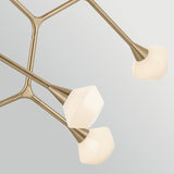 Cassius 8 Light Pendant Light - Champagne Bronze