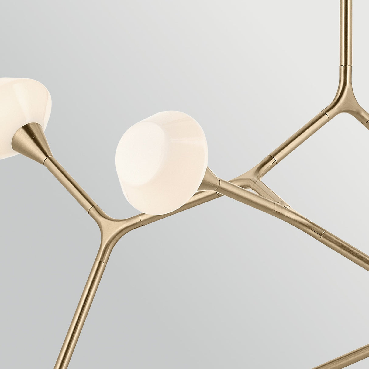 Cassius 8 Light Pendant Light - Champagne Bronze