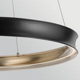 Larousse 1 Light Large Pendant Light - Black & Champagne Bronze